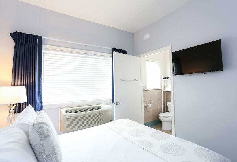 غرفة سوبيريور, The Hotel Hollywood