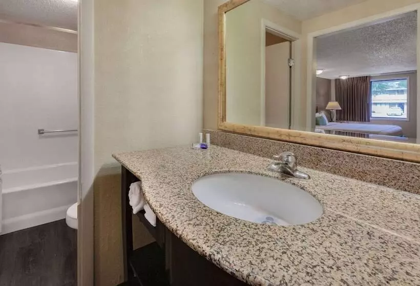 デラックスルーム, Travelodge By Wyndham Monroe