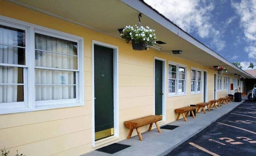 غرفة قياسية, A Western Rose