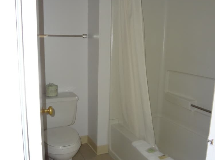 غرفة قياسية, A Western Rose