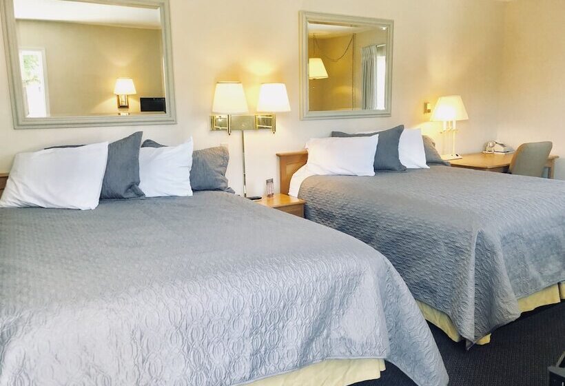 غرفة قياسية, A Western Rose