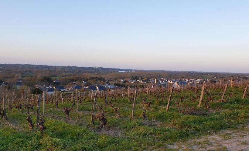 Номер Стандарт, Clos Sainte Catherine