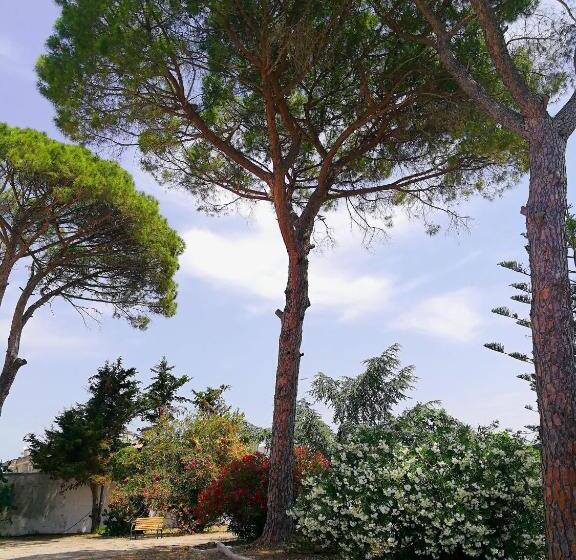 آپارتمان 1 خوابه با چشم‌انداز باغ, Calle Dei Saraceni