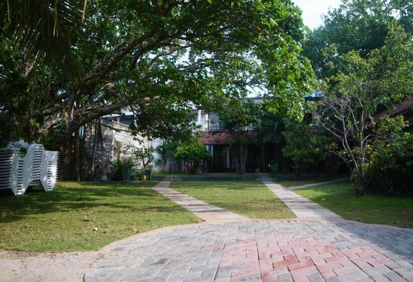 חדר סטנדרט לשלושה, Turtle Bay Beach Resort