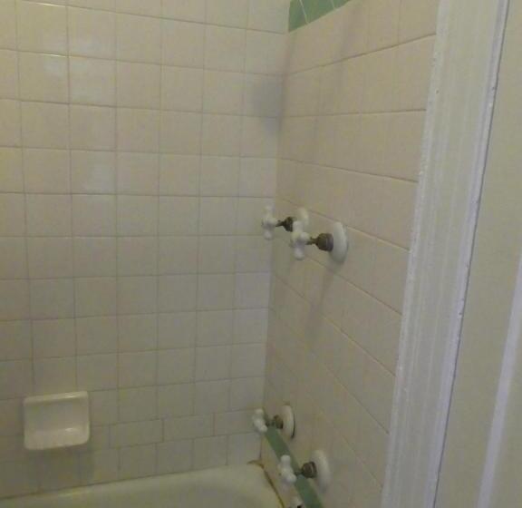 غرفه قياسيه سريرين مزدوجين, Del Flores