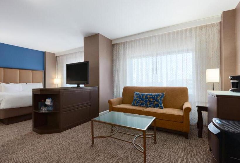장애인을 위한 스탠다드 룸, Hyatt Regency Dulles