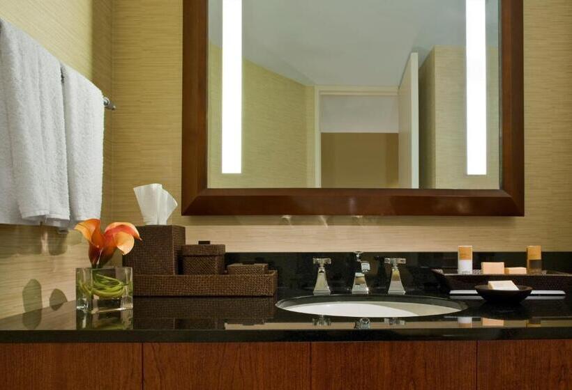 장애인을 위한 스탠다드 룸, Hyatt Regency Dulles