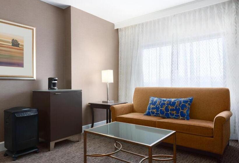 스탠다드 룸, Hyatt Regency Dulles