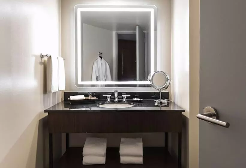 スイート, Hyatt Regency Houston Downtown