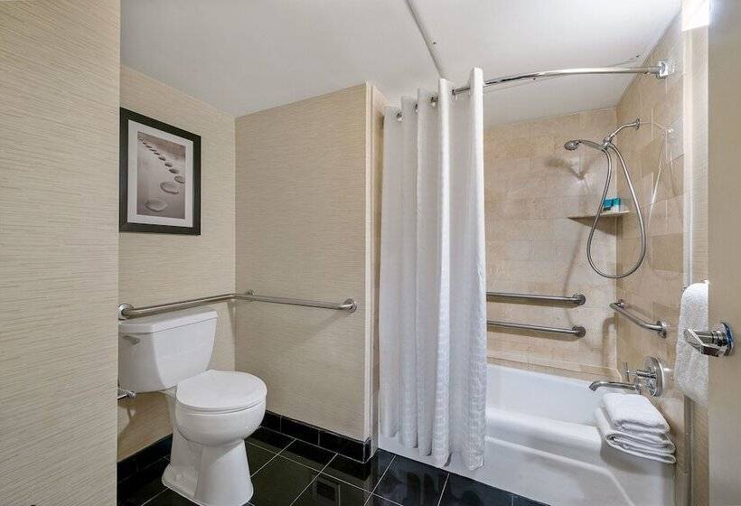 Люкс, Hyatt Regency Houston Downtown