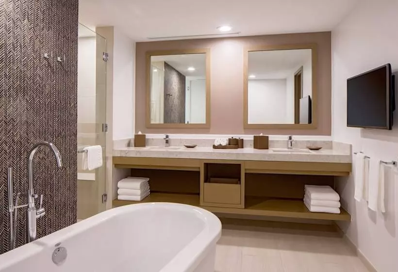 スイート, Hyatt Regency Houston Downtown