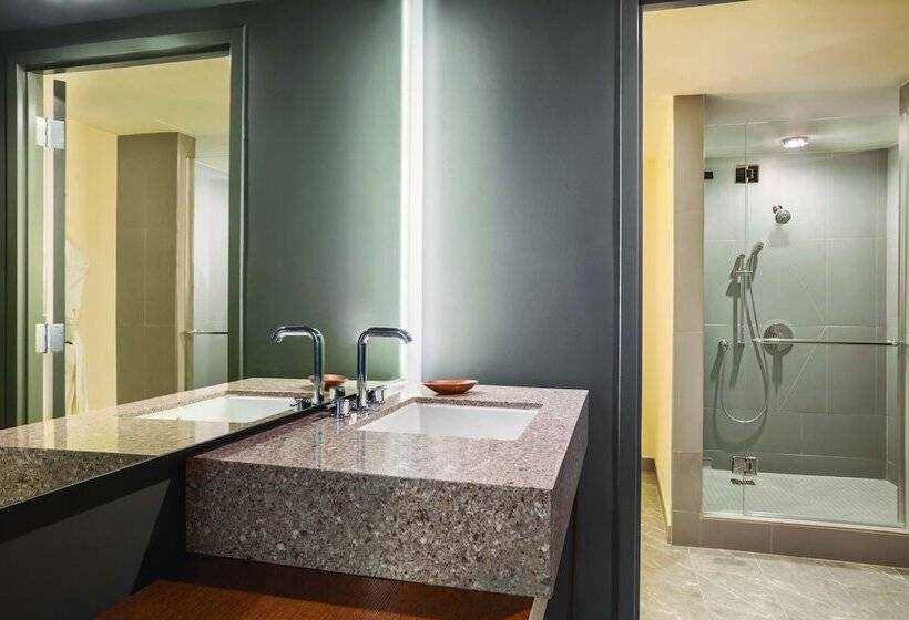 Номер Deluxe, Hyatt Regency Houston Downtown