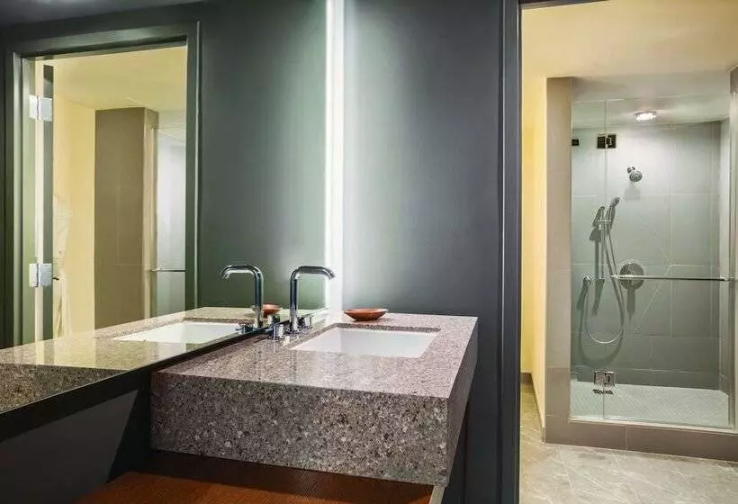 デラックスルーム, Hyatt Regency Houston Downtown