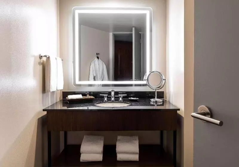 スイート, Hyatt Regency Houston Downtown