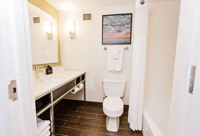 스탠다드 룸 킹사이즈 침대, The Inn At Penn, A Hilton