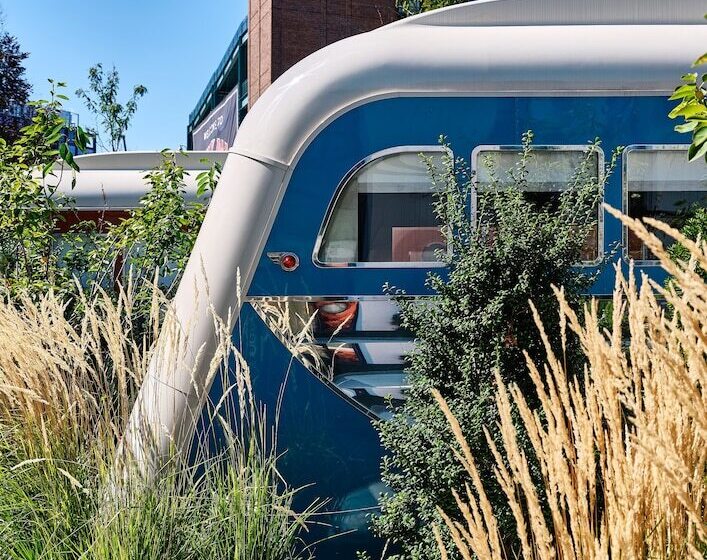 חדר סטנדרט מיטה זוגית, The Verb