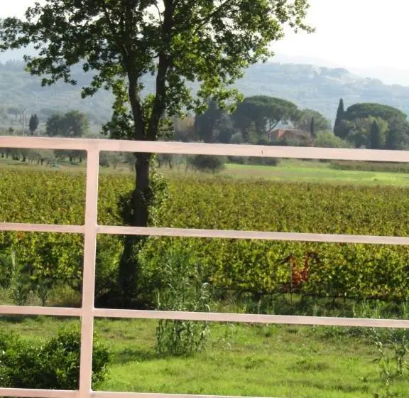 １ベッドルームハウス, Podere Ricciolino