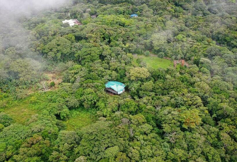 Дом 3 Спальни, Moon Wonders Vacation House