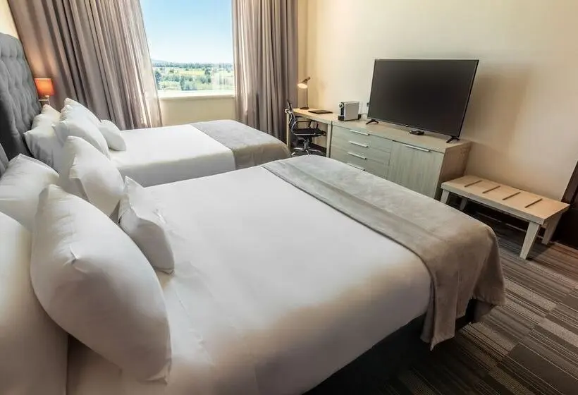 Standard-huone, Mds Hotel Chillan