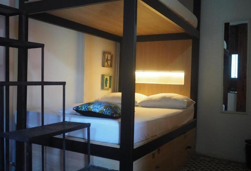 غرفة قياسية, Baboon Hostel