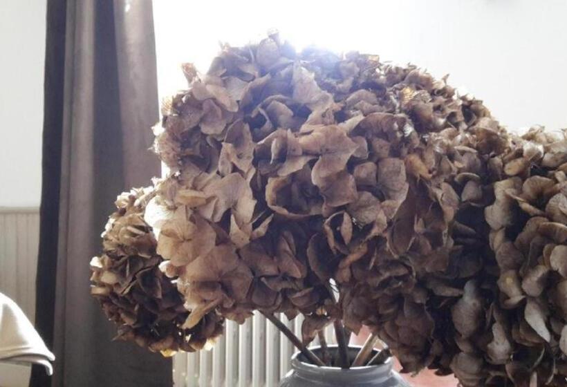 디럭스 룸, Château Marith