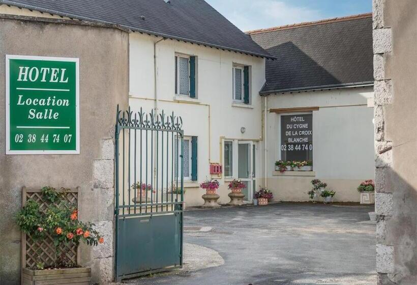 身障者適用スタンダードルーム, Du Cygne De La Croix Blanche