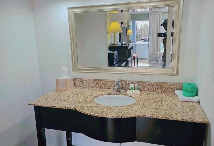 غرفة قياسية سرير كينج, Astoria Hotel North