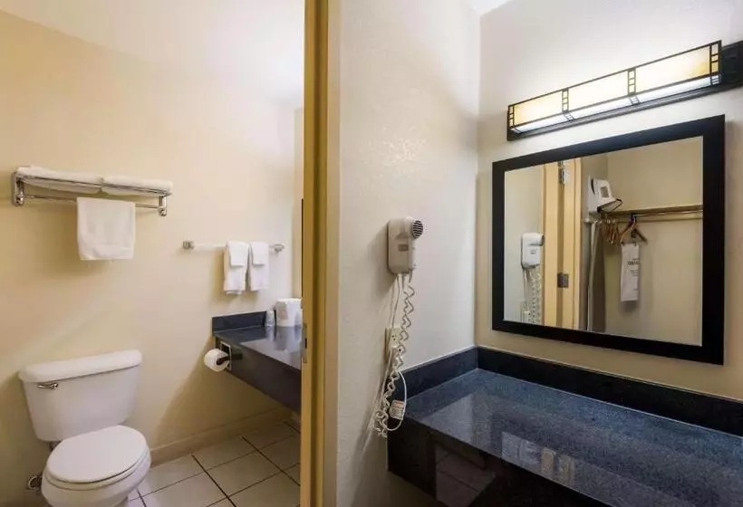 اتاق استاندارد در طبقه همکف, Best Western Prairie Inn & Conference Center