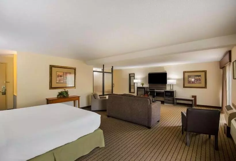 سوئیت با تخت بزرگ, Best Western Prairie Inn & Conference Center