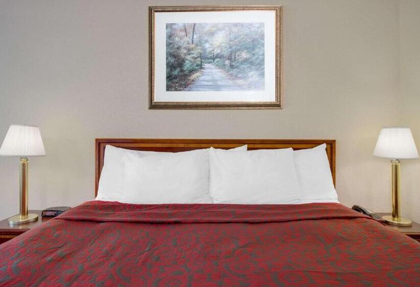 חדר סטנדרט עם מיטת קינג, Express Inn