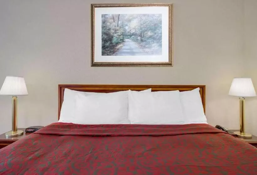 اتاق استاندارد با تخت بزرگ, Express Inn