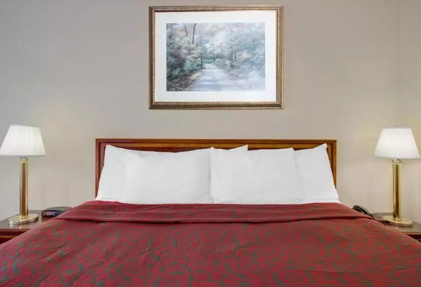 اتاق استاندارد با تخت بزرگ, Express Inn