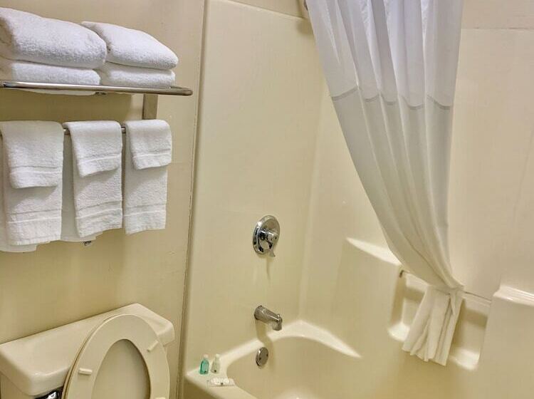 Номер Стандарт 2 Двуспальные Кровати, Quality Inn Seneca Us123