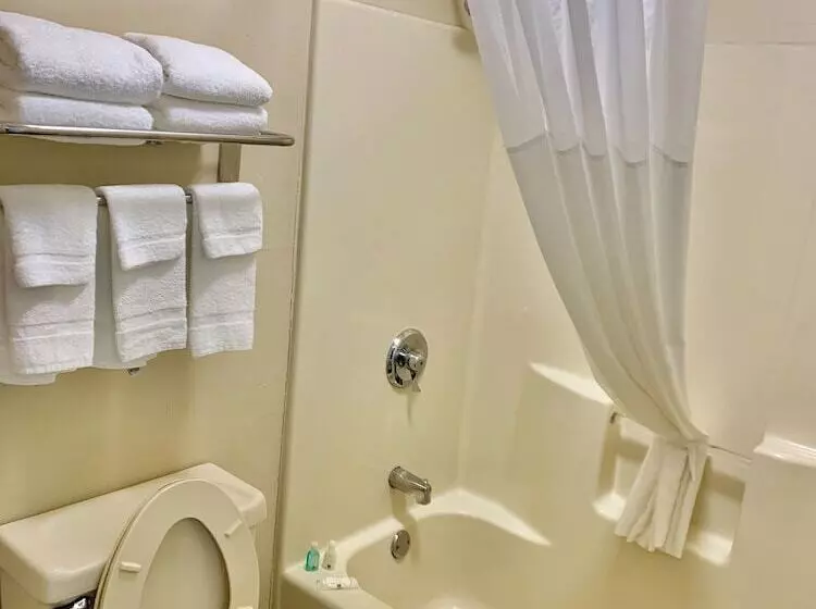 Standard-huone 2 Parivuodetta, Quality Inn Seneca Us123