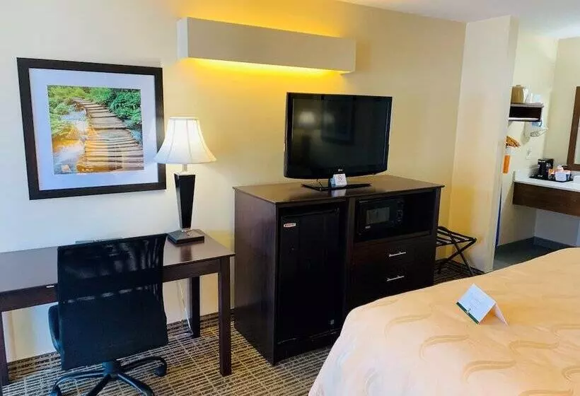 Standard-huone 2 Parivuodetta, Quality Inn Seneca Us123