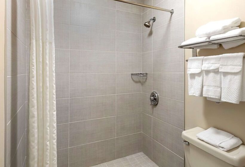 스탠다드 룸 킹사이즈 침대, Quality Inn Seneca Us123