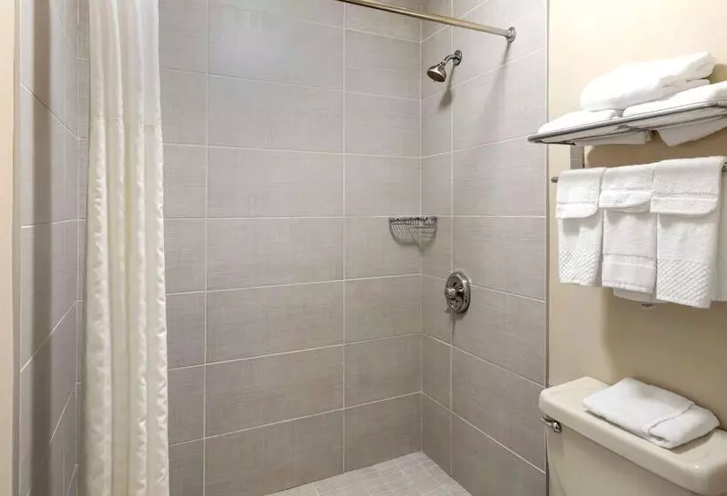 Standard-huone King-vuode, Quality Inn Seneca Us123