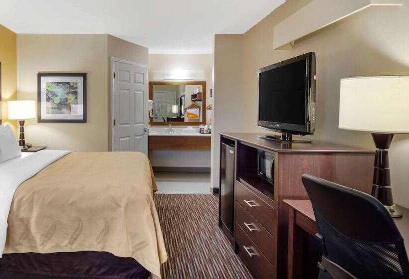 스탠다드 룸 킹사이즈 침대, Quality Inn Seneca Us123