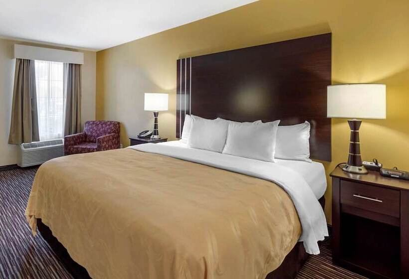 Стандартный Номер Кровать Кинг, Quality Inn Seneca Us123