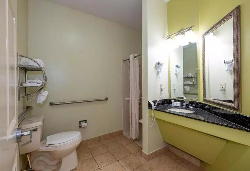身障者適用スイートルーム, Red Roof Inn & Suites Wilson