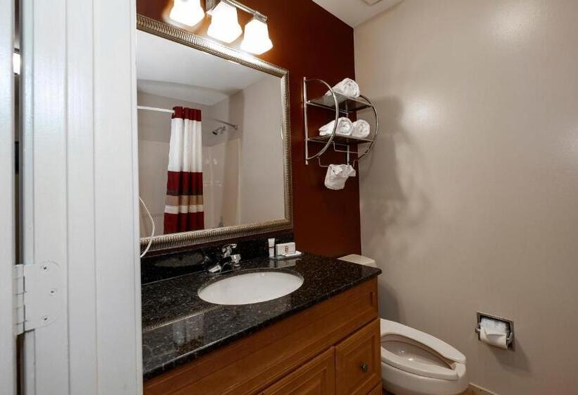 带大床的套房, Red Roof Inn & Suites Wilson