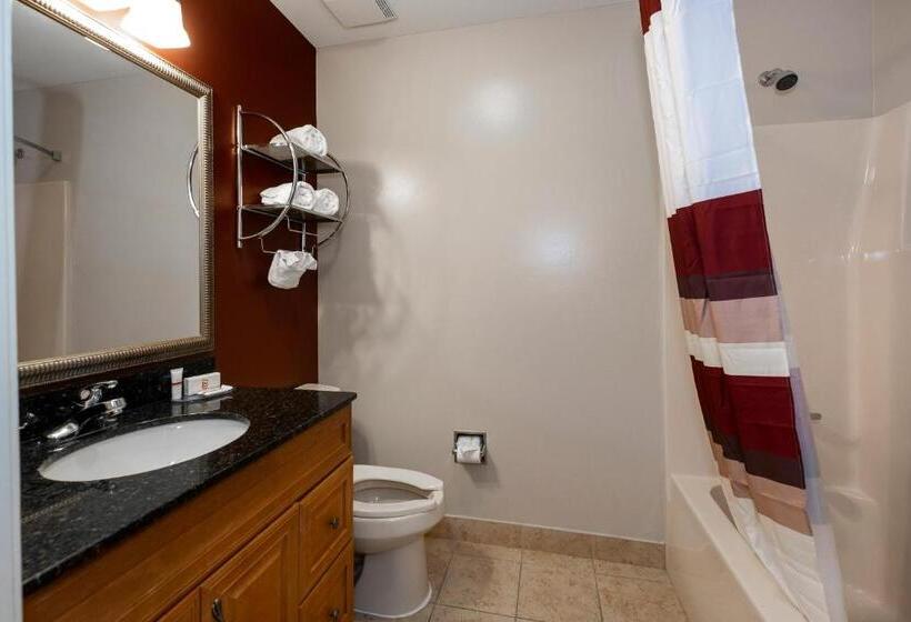 带大床的套房, Red Roof Inn & Suites Wilson