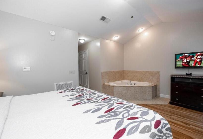 带大床的套房, Red Roof Inn & Suites Wilson