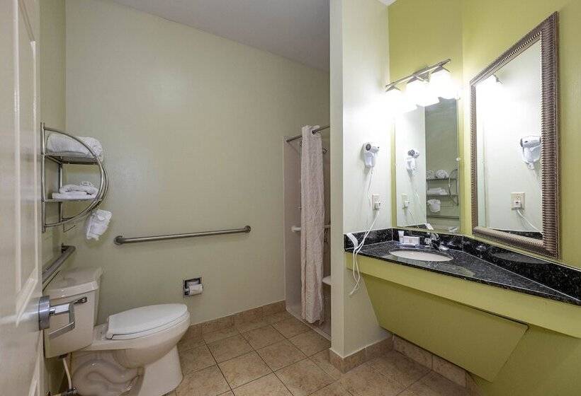 适合残疾人士使用的套间, Red Roof Inn & Suites Wilson