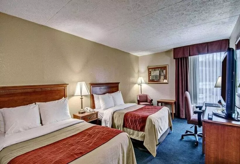 ２ダブルベッドのスタンダードルーム, Quality Inn Near Martinsville Speedway