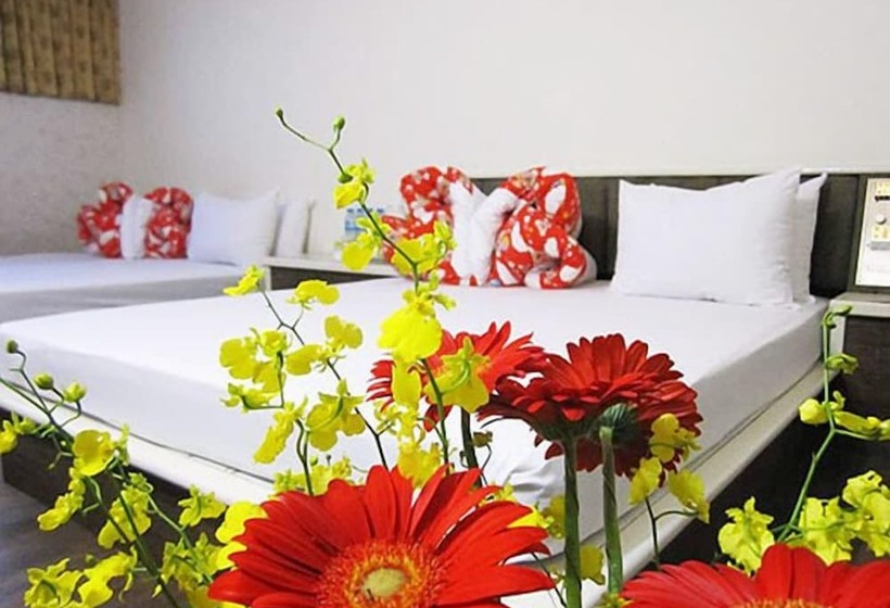 اتاق استاندارد چهار تخته, Dahua