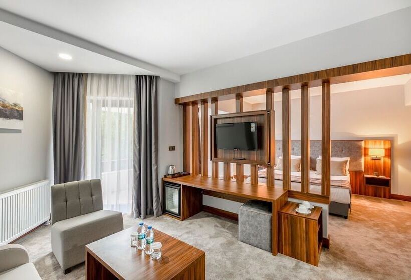 סוויטת ג'וניור נוף לעיר, The Sign Esentepe Hotel&kayak Merkezi