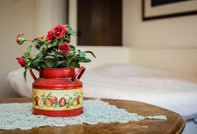 غرفة قياسية لذوى الاحتياجات الخاصة, De Reiziger