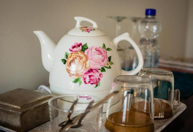 غرفة قياسية لذوى الاحتياجات الخاصة, De Reiziger