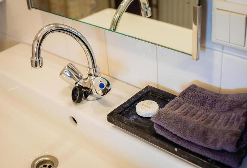 غرفة قياسية لذوى الاحتياجات الخاصة, De Reiziger